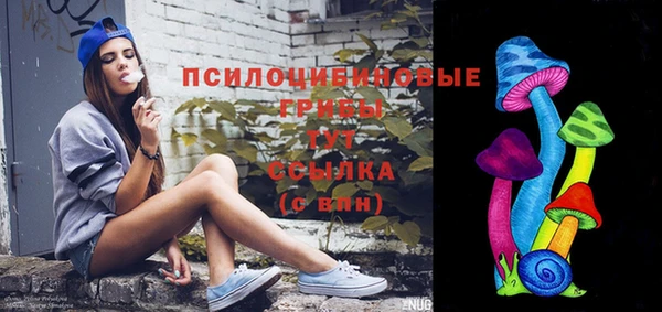 молекула духа Дмитров