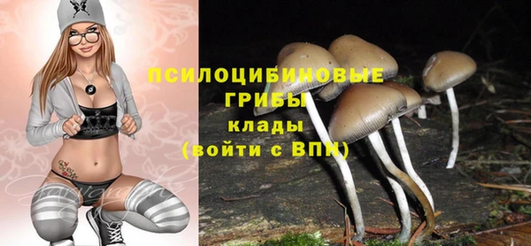 не бодяженный Ельня