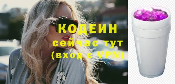 хмурый Елабуга